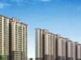 Video : Noida: Super Property Deals in Rs 80 Lakhs