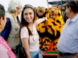 Video : बाघ  बचाओ अभियान : नायाब सुंदरबन को देखिए अदिति राव की नज़रों से