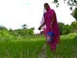 Video: Cultivating Hope: Shift in Gender Roles in the Agriculture Sector