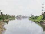 Video : Citizens' Voice: Saving Mumbai's Mithi River