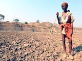 Video: किसानों की समस्या को सामने लाता एनडीटीवी का 'कल्टिवेटिंग होप कैंपेन'
