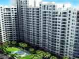 Video : A Home for Every Budget in Gurgaon, Noida, Mohali, Kundli & Jaipur