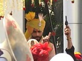 Video : Celebratory Gunshots At Ravindra Jadeja's Wedding Sparks Row
