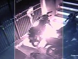 Video : CCTV में कैद: यह शख्स दूसरों के वाहनों में लगा देता था आग