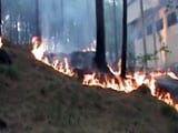 Video : Forest Fires Rage In Pirpanjal Region In Jammu And Kashmir