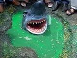 Video : दिल्ली : गड्ढों में मगरमच्छ और शार्क के पुतले बनाकर कांग्रेस ने किया प्रदर्शन