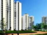 Video : Best Property Buys In Noida, Lucknow, Faridabad & Zirakpur