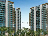 Video : Top Residential Deals in Noida for Rs 45 Lakhs