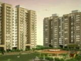 Video : Affordable Properties In Noida, Gurugram, Mohali And Jaipur