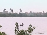 Video : Chennai's Residents Reclaim Sembakkam Lake