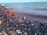 Video : Oil Spill Near Chennai Blackens Beaches, Fishing Community Affected