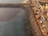 Video : Chennai Oil Spill Touches Marina Beach, Hundreds In Massive Clean-Up