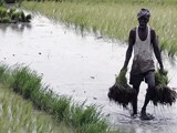 Videos : प्राइम टाइम इंट्रो : किसानों की कर्ज़ माफ़ी आर्थिक तौर पर कितनी भारी?