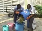 Video : Chennai Residents Aim For A Garbage Free Locality