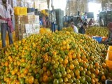 Video : संतरे की बंपर पैदावार से किसान परेशान