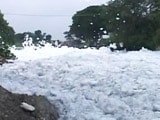 Video : White Alert At Bengaluru Lake Again, Froth Flies After Rains In Bellandur