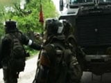 Video : Cordon And Search Ops Return To Kashmir Valley After 18 Years