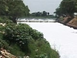 Video : Siddaramaiah Visits Bellandur Lake, Says Can't Meet Clean-Up Deadline