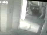 Video : Man On CCTV Chasing, Killing Noida Engineer Could Be Boyfriend, Say Cops