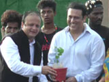 Video : Bollywood Stars Celebrate World Environment Day