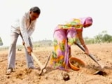 Video : मध्य प्रदेश में किसानों के साथ धोखाधड़ी, फर्जी तरीके से कराई जमीन की रजिस्ट्री