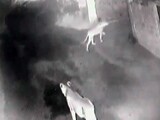 Video : Gulp. CCTV Shows Evening Stroll Of Gir Lions Through Village