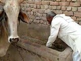 इंडिया 8 बजे: कर्ज माफी की घोषणा कई किसानों के साथ मजाक