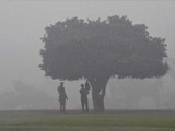 Video : In 'Gas Chamber' Delhi, Primary Schools Won't Open Tomorrow