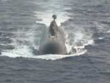 Video : India Wants Second Nuclear Submarine From Russia. Lies By Lobbyists Erupt
