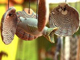 Video : A Definitive Guide To Delhi's Dastkar Mela