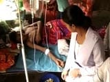 Video : No Clarity On Number Of Dengue Deaths In Bengal, Say Petitioners