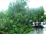 Video : 13 Dead In Tamil Nadu, Kerala Rain, Cyclone Ockhi Triggers "Red Warning" For Lakshadweep
