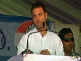 Video : PM Modi Wishes Rahul Gandhi A "Fruitful Tenure" As Congress Chief