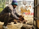 Video : जैविक खाद बनाने का चमत्कारी फॉर्मूला, किसानों के लिए वरदान