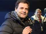 Video : Rahul Gandhi's Jacket At Rock Concert Fashions BJP's "Soot-Boot" Comeback