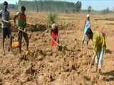 Video : Will Budget's Rural Sector Provisions Signal Better Days For Farmers