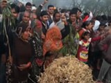 Video : Unseasonal Rain, Hail Batter Standing Crops in Maharashtra, Madhya Pradesh