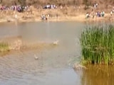 Video : 5 Bodies Found In Andhra Pradesh Lake, No One Knows Where They Came From