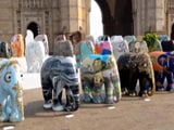 Video : A Hit In UK, Elephant Parade In India To Raise Animal Conservation Funds