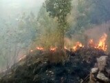Video : Over 30 Caught In Huge Forest Fire In Tamil Nadu, Air Force Called In