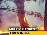 Video : Massive Forest Fires In 4 Districts Of Jammu And Kashmir