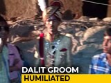 Video : In Rajasthan, 7 Arrested For Forcing Dalit Groom To Dismount His Horse