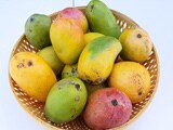 Popular Varieties of Mangoes In The Market: An Easy Guide